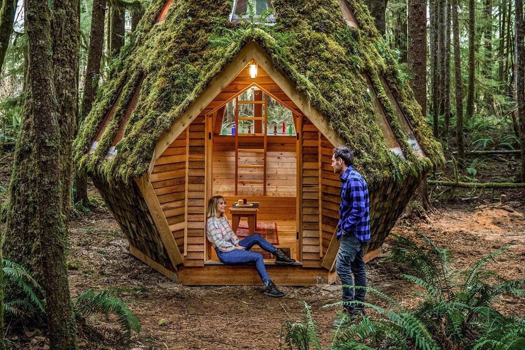 best of Forest make cozy cabin