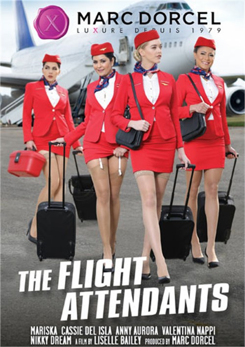 Indecent flight attendants