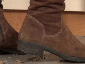Boots bug crush