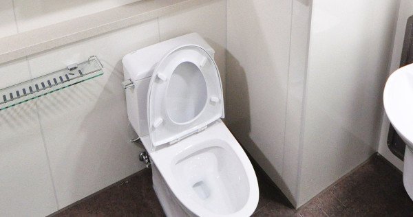 Korean toilet spycam